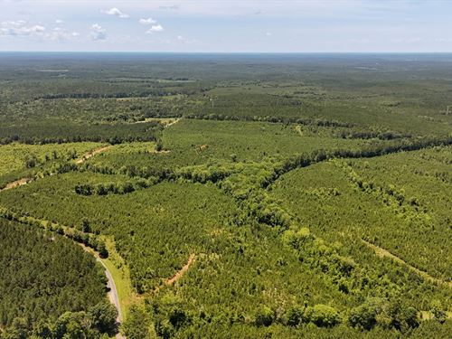 Cool Branch Road Tract : Chester : South Carolina
