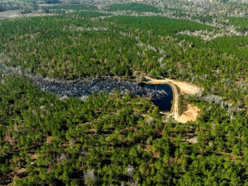 Laurens Ponds & Pines : Dublin : Laurens County : Georgia