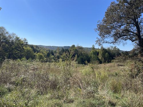 10 Acres with View to Build on : Clifton : Hardin County : Tennessee