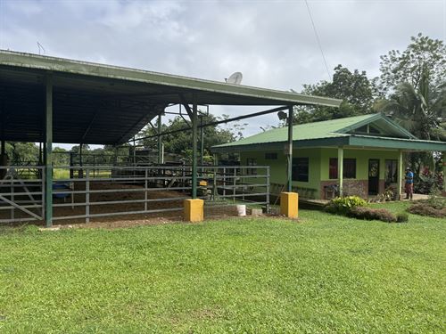 22 Acre Farm in Heredia : Sarapiqui : Costa Rica