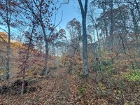 Deaver Rd Lot 1 27 : McConnelsville : Morgan County : Ohio