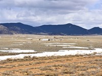 Step Into Vacation Mode : Hartsel : Park County : Colorado