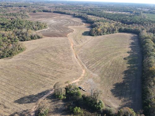 277 Acres White Oak Farm : Andalusia : Covington County : Alabama
