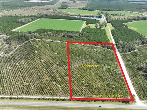 13.1 Acres Jamestown Rd : Waycross : Ware County : Georgia
