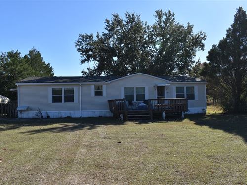 Bellville 40 : Pinetta : Madison County : Florida