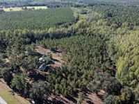 Woodpecker Trail Olive Farm And Rec : Glennville : Tattnall County : Georgia