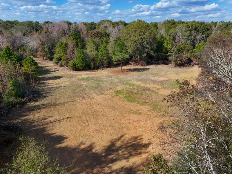 County Road 209 Hunting Tract : Selma : Dallas County : Alabama