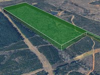 Nesbitt Cutoff, Marshall, TX 75670 : Marshall : Harrison County : Texas