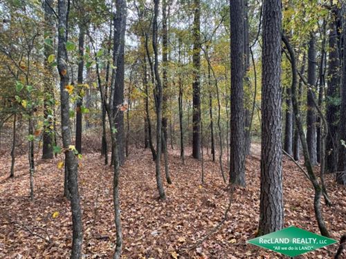 41.9 Ac Wooded Tract for Home Site : Hamburg : Ashley County : Arkansas