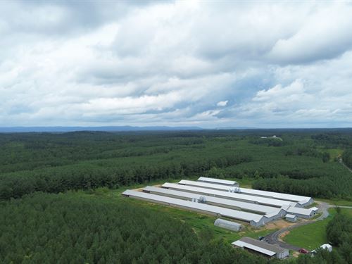 4 House Breeder Farm in Resaca, GA : Resaca : Gordon County : Georgia