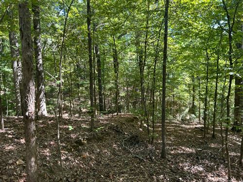 198.76 Acres in Yazoo County, MS : Yazoo City : Yazoo County : Mississippi