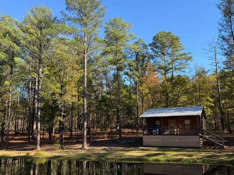 37.83 Acres with a Cabin in Oktibbe : Sturgis : Oktibbeha County : Mississippi