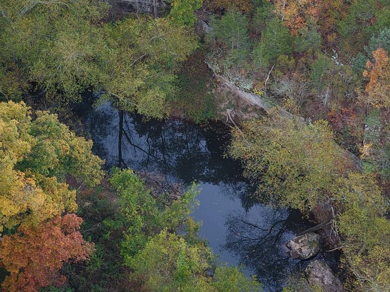 50 Acres in Van Buren County, AR : Bee Branch : Van Buren County : Arkansas