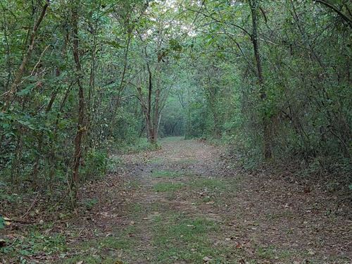 36.6 Acres in Faulkner County, AR : Mayflower : Faulkner County : Arkansas