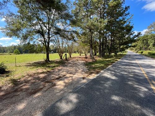 A Home on 18 Acres in Wayne County : Buckatunna : Wayne County : Mississippi