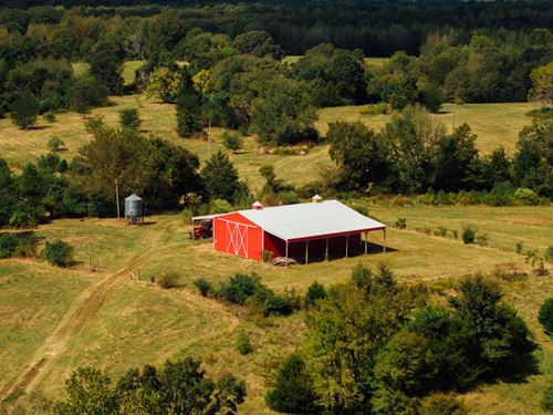 136.3 Acres in Panola County, MS : Batesville : Panola County : Mississippi