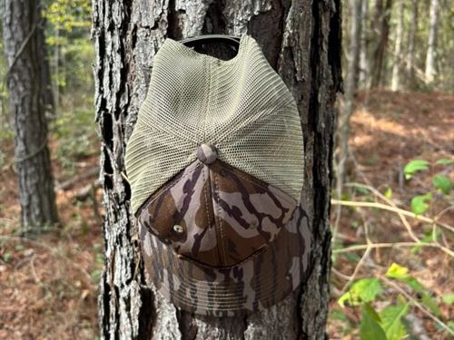 42.21 Acres in Rankin County, MS : Mendenhall : Rankin County : Mississippi