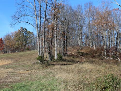 90 Acres in Greenup County, KY : Garrison : Greenup County : Kentucky