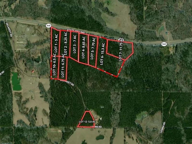 7 Acres Lot 3 in Simpson County : Braxton : Simpson County : Mississippi