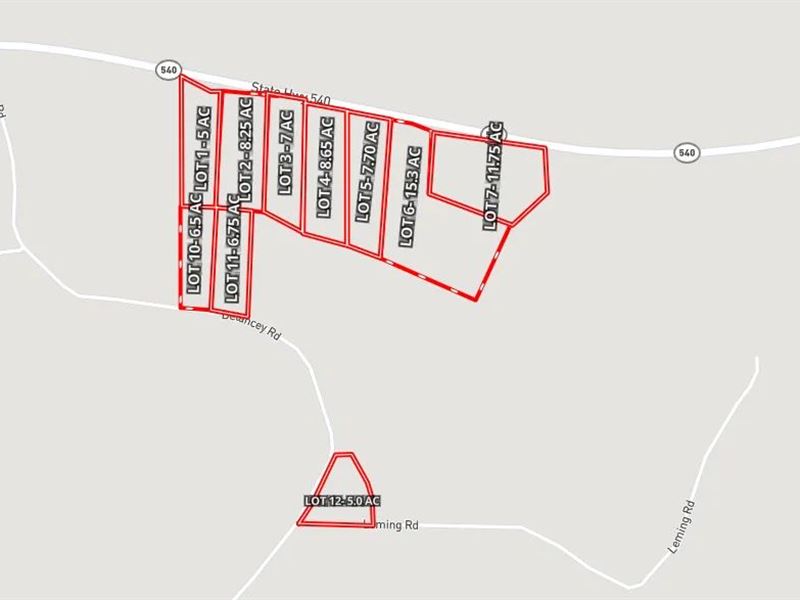 8.25 Acres Lot 2 in Simpson Count : Braxton : Simpson County : Mississippi