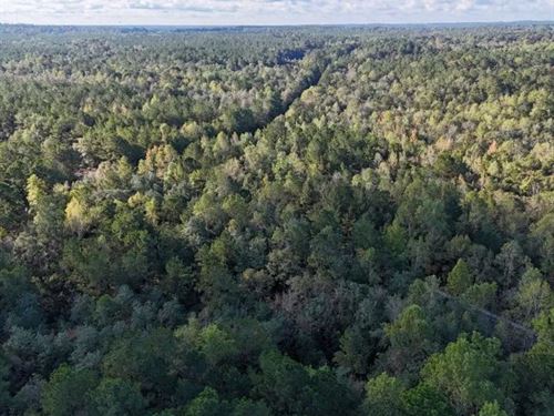 62 Acres in Forrest County in Hatti : Hattiesburg : Forrest County : Mississippi