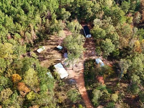 14.5 Acres in Clarke County in Shub : Shubuta : Clarke County : Mississippi