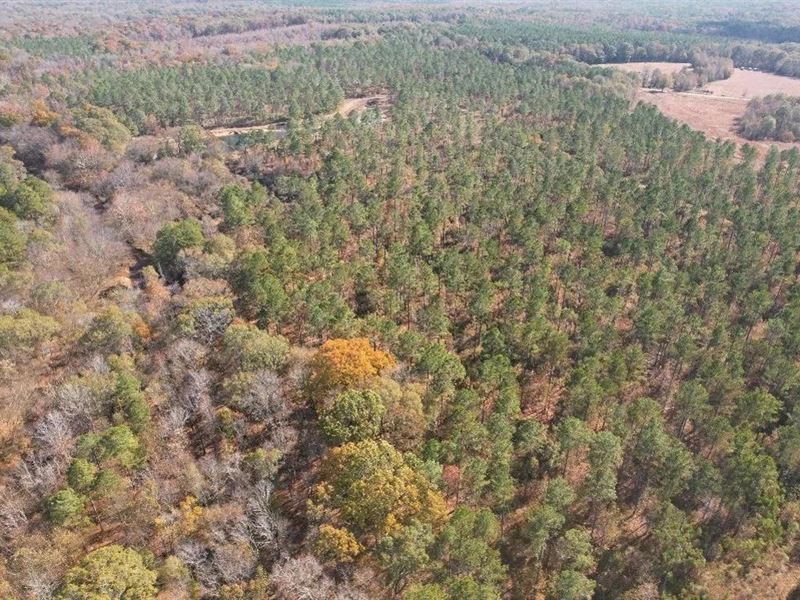67 Acres in Carroll County in Carro : Carrollton : Carroll County : Mississippi