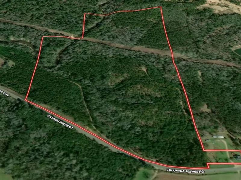 79.23 Acres in Marion County in Col : Columbia : Marion County : Mississippi