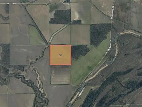 40 Acres in Tunica County in Dundee : Dundee : Tunica County : Mississippi
