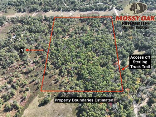 15 Acres Sterling Mi, Arenac Cou : Sterling : Arenac County : Michigan