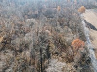 Tract 4 CR 1200 N Brazil : Brazil : Clay County : Indiana