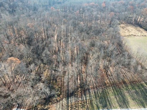 Tract 6 0 County Road 1200 : Brazil : Clay County : Indiana