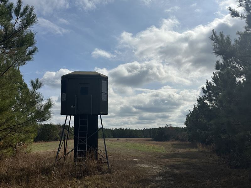 Wautubbee 145, Clarke County, MS : Enterprise : Clarke County : Mississippi