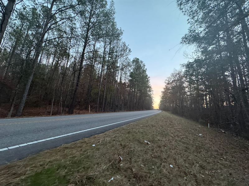57 Acres, Knoxville, Al. Timbe : Knoxville : Greene County : Alabama