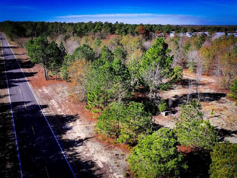 22.5 Acres of Unrestricted Land : Laurel Hill : Scotland County : North Carolina