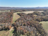 33.4 Acres of Residential or Recrea : Rocky Mount : Franklin County : Virginia