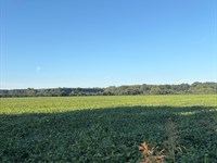 75 Acres of Tillable Ground : Ecru : Pontotoc County : Mississippi