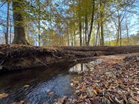 20.92 Acres, Germany's Ferry Road : Daviston : Tallapoosa County : Alabama