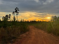 20.98 Acres, Germanys Ferry Road : Daviston : Tallapoosa County : Alabama