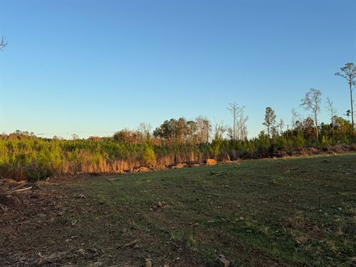 20.98 Acres, Germanys Ferry Road : Daviston : Tallapoosa County : Alabama
