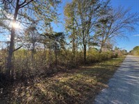 13.35 Acres, Germany's Ferry Road : Daviston : Tallapoosa County : Alabama