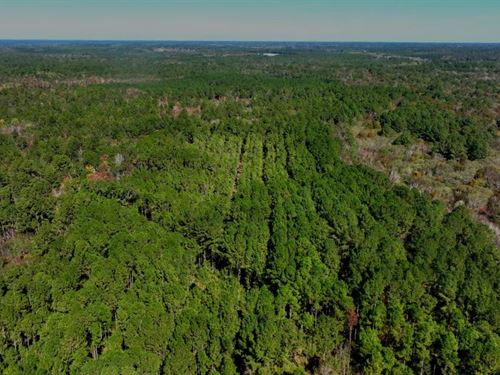 Lotts Creek Tract : Statesboro : Bulloch County : Georgia