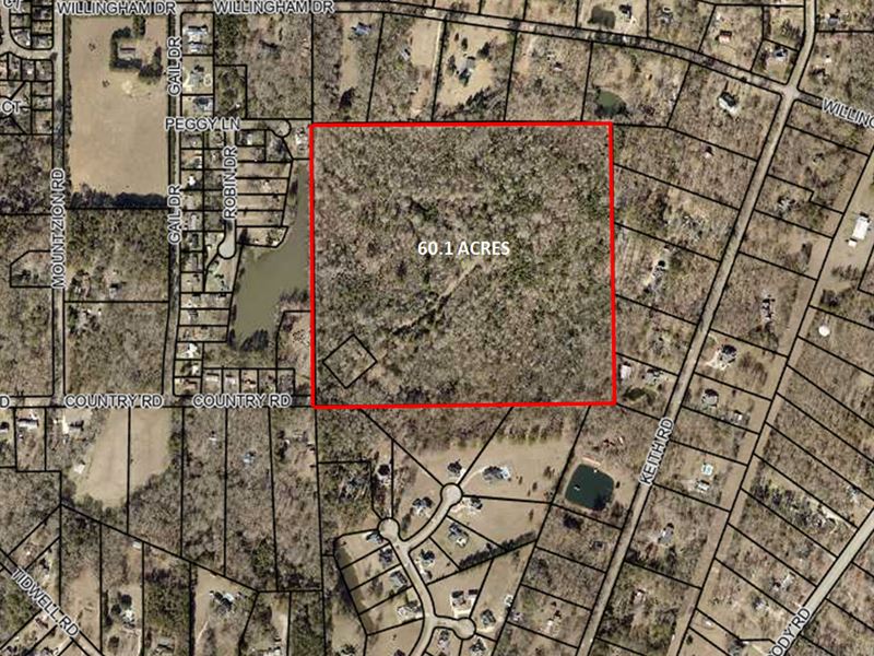 60.1 Acre Development Tract : Bonaire : Houston County : Georgia