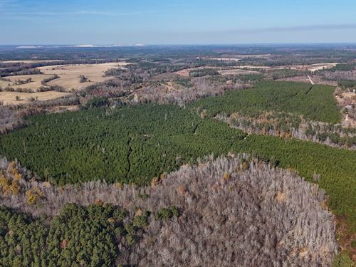 Mill Creek Road Tract : Cassatt : Kershaw County : South Carolina