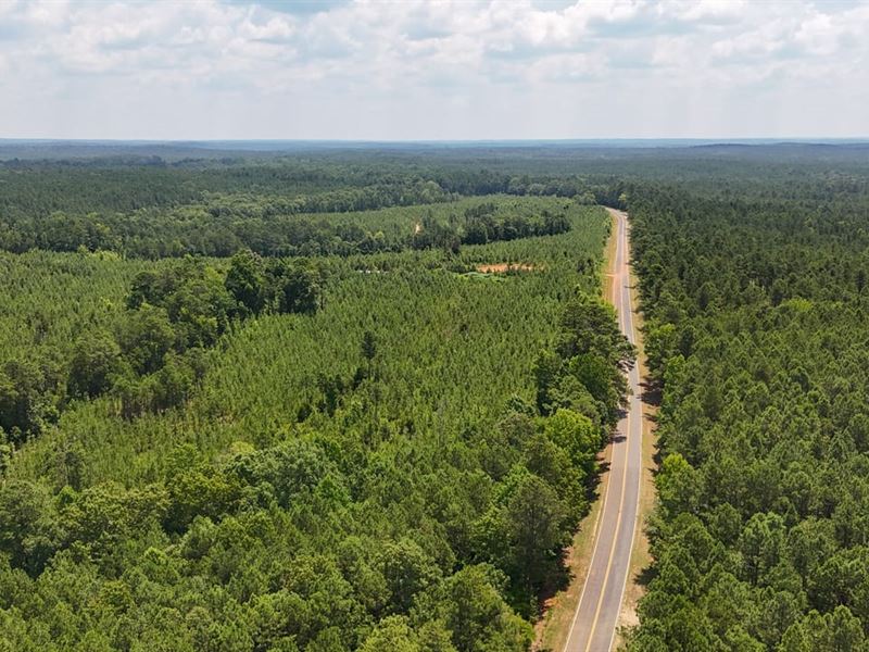 Buckhead Road Tract : Blair : Fairfield County : South Carolina