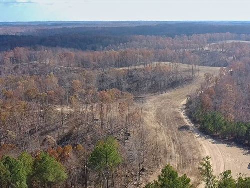 Firetower 12 : Centerville : Hickman County : Tennessee