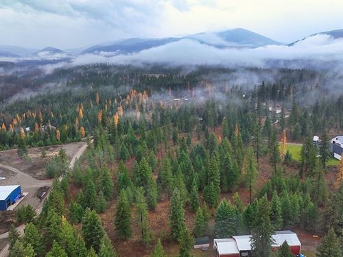 186 Gold Dust Trl : Libby : Lincoln County : Montana