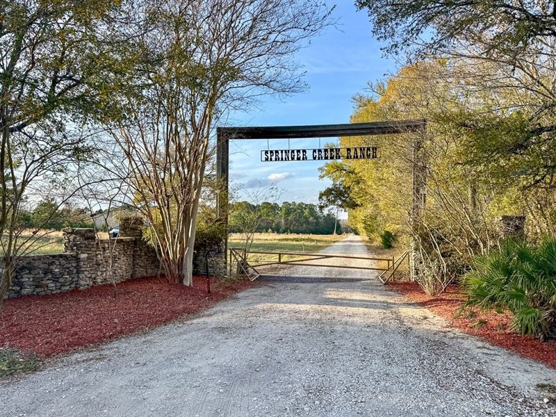 350 Acres, FM 1374 : Huntsville : Walker County : Texas