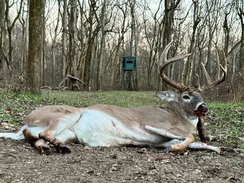 One Equity Share With a Cabin at Bl : Sherard : Coahoma County : Mississippi