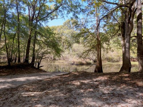 Ogeechee River Plantation Tract 1 : Millen : Jenkins County : Georgia
